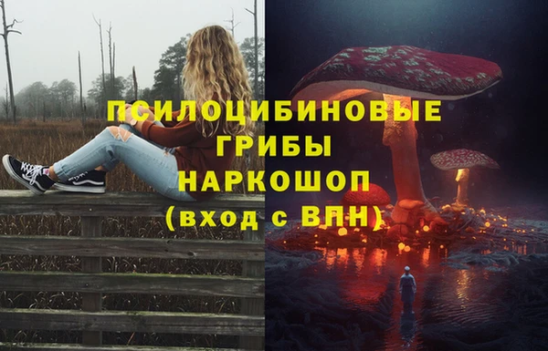 герыч Михайловск