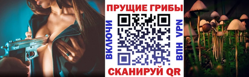 Псилоцибиновые грибы Psilocybe  Купить  Благовещенск